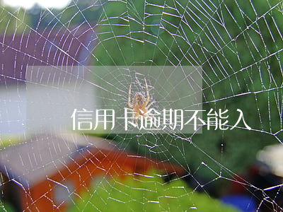 信用卡逾期不能入職順豐(信用卡逾期影響入職嗎)