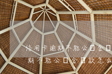 信用卡逾期不能公積金貸款怎么-信用卡逾期不能公積金貸款怎么辦