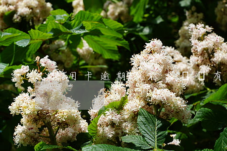 信用卡逾期不能出國嗎(有逾期可以出國嗎)