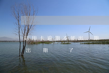 信用卡逾期不能出幾期賬單 信用卡逾期不能出幾期賬單了