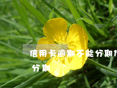 信用卡逾期不能分期付款(逾期的信用卡還能分期嗎)