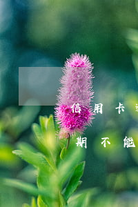 信用卡逾期不能坐什么交通工具-信用卡逾期不能坐什么交通工具呢