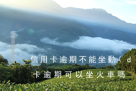 信用卡逾期不能坐動(dòng)車(欠信用卡逾期可以坐火車嗎)