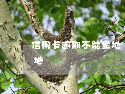 信用卡逾期不能坐地鐵嗎(信用卡逾期不能坐地鐵嗎)