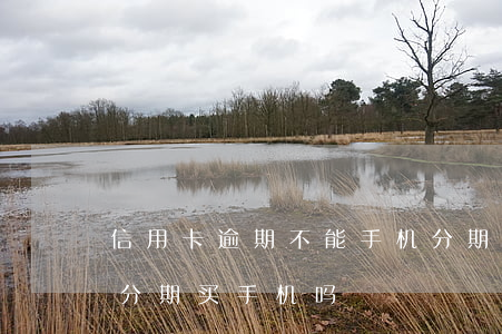 信用卡逾期不能手机分期吗(信用有逾期可以分期买手机吗)