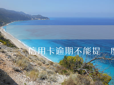 信用卡逾期不能提額度(信用卡逾期反而提額)