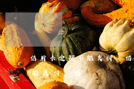 信用卡逾期不能支付寶借唄-信用卡逾期不能支付寶借唄嗎