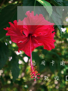 信用卡逾期不能收復(fù)利(信用卡逾期不能收復(fù)利息怎么辦)
