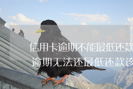信用卡逾期不能最低还款怎么办-当信用卡逾期无法还最低还款该怎么处理