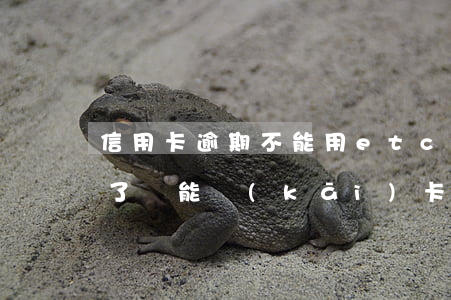 信用卡逾期不能用etc(信用卡逾期不能用了,還能開(kāi)卡嗎)