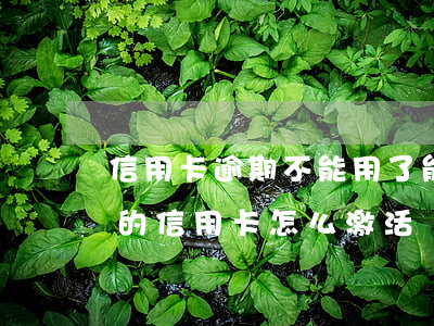 信用卡逾期不能用了能激活吗 过期没有激活的信用卡怎么激活