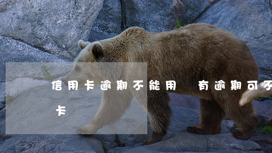 信用卡逾期不能用嗎(有逾期可不可以辦信用卡)