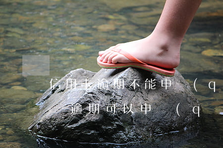 信用卡逾期不能申請(qǐng)停息掛賬嗎(逾期可以申請(qǐng)停息掛賬嗎)