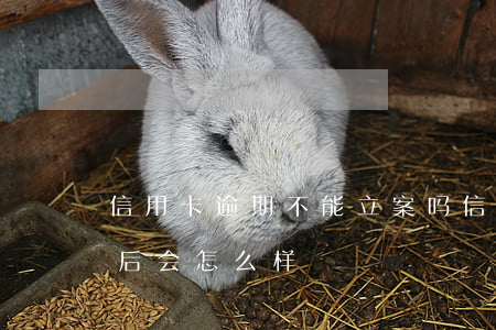 信用卡逾期不能立案吗(信用卡逾期报警立案后会怎么样)
