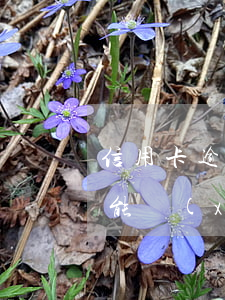 信用卡逾期不能續(xù)卡(信用卡逾期不能續(xù)卡)