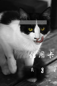 信用卡逾期不能貸款怎么辦(信用卡當(dāng)前有逾期能申請(qǐng)貸款的沒(méi))