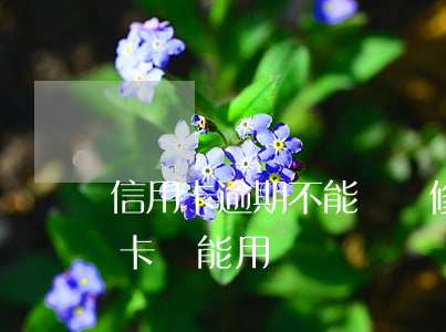 信用卡逾期不能貸裝修貸-裝修貸到期信用卡還能用嗎