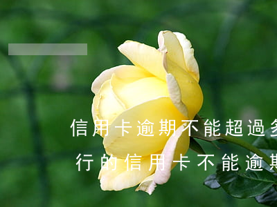 信用卡逾期不能超過多少天(哪個(gè)銀行的信用卡不能逾期一天)