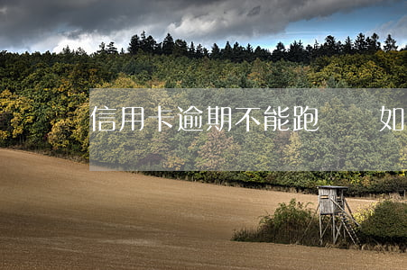 信用卡逾期不能跑單嗎(如何查詢信用卡逾期)