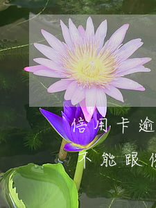 信用卡逾期不能跟催收說的話-信用卡逾期不能跟催收說的話