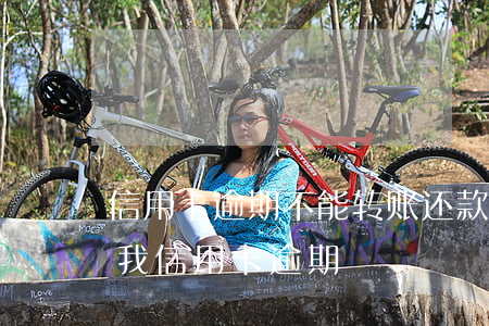 信用卡逾期不能转账还款(别人借钱不还导致我信用卡逾期)