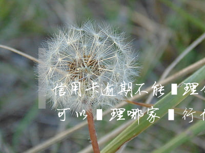 信用卡逾期不能辦理分期了嗎(分期樂逾期還可以辦理哪家銀行信用卡)