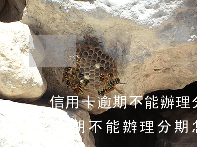 信用卡逾期不能辦理分期怎么處理-信用卡逾期不能辦理分期怎么處理呢