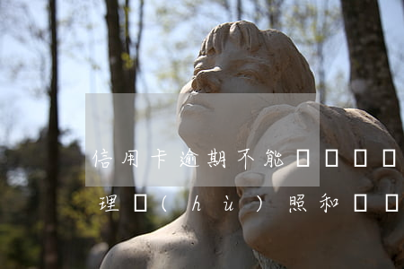信用卡逾期不能辦簽證嗎(信用卡逾期可以辦理護(hù)照和簽證嗎)