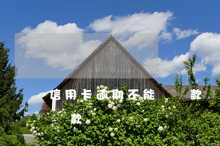 信用卡逾期不能辦貸款嗎(信用卡逾期不能辦貸款嗎)