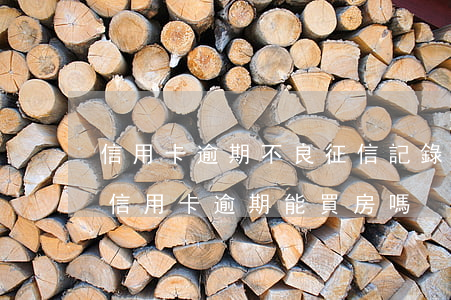 信用卡逾期不良征信記錄能房貸(征信報告有信用卡逾期,能買房嗎)