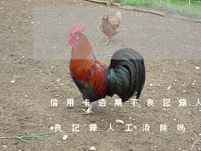 信用卡逾期不良記錄人工消除 信用卡逾期不良記錄人工消除嗎