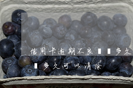 信用卡逾期不良記錄多久(信用卡逾期不良記錄多久可以消除?)