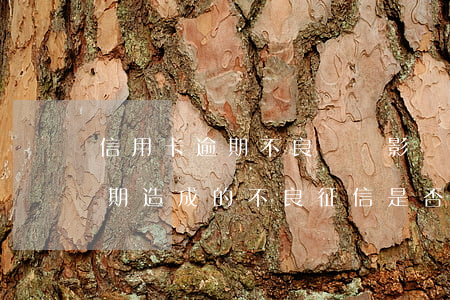 信用卡逾期不良記錄影響貸款嗎 因信用卡逾期造成的不良征信是否可以消除