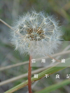 信用卡逾期不良記錄要多久刪除-信用卡逾期不良記錄要多久刪除一次