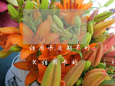 信用卡逾期不行會(huì)從微信扣錢嗎(欠信用卡的錢會(huì)扣微信上的錢嗎)