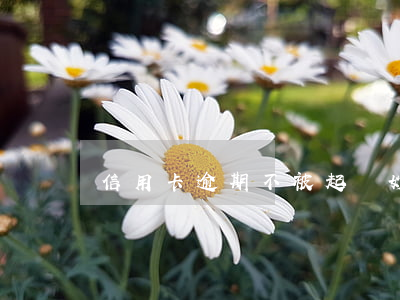 信用卡逾期不被起訴妙招 不小心信用卡逾期
