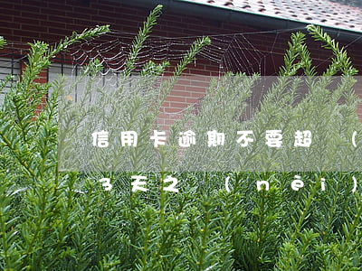 信用卡逾期不要超過(guò)幾天(信用卡3天之內(nèi)算逾期嗎)