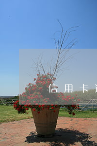 信用卡逾期不認賬(沒注意信用卡逾期了)