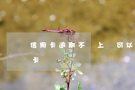 信用卡逾期不讓上門可以嗎(逾期不能辦信用卡嗎)