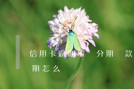 信用卡逾期不讓分期還款(信用卡逾期不能分期怎么辦)