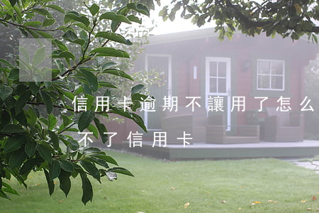 信用卡逾期不讓用了怎么辦(有逾期是不是辦不了信用卡)