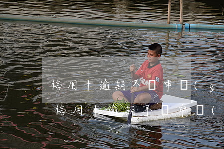 信用卡逾期不讓申請(qǐng)停息掛賬(信用卡逾期不讓申請(qǐng)停息掛賬)