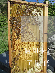信用卡逾期不讓還最低還款(為什么信用卡還了最低還款還說逾期)