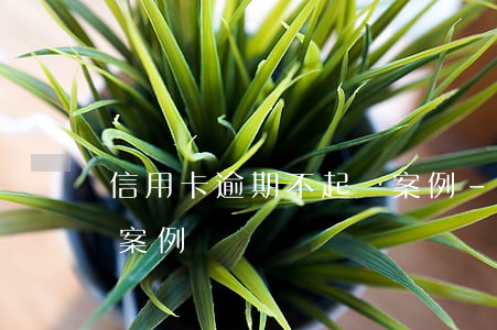 信用卡逾期不起訴案例-信用卡逾期不起訴案例