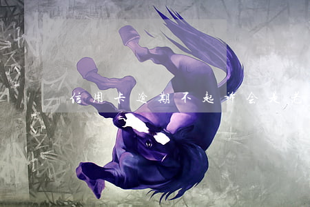 信用卡逾期不起诉会是老赖吗