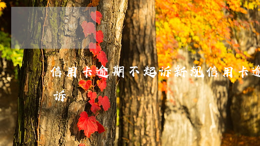 信用卡逾期不起诉新规(信用卡逾期会不会起诉)