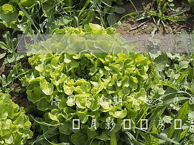 信用卡逾期不超500-信用卡逾期不超過一個月影響買房貸款嗎?