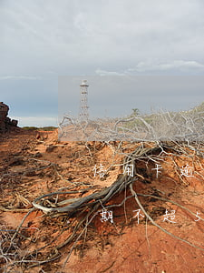 信用卡逾期不超5萬有什么后果-信用卡逾期不超5萬有什么后果嗎