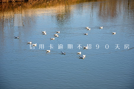 信用卡逾期不超90天房貸