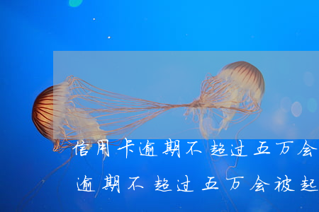 信用卡逾期不超过五万会被起诉吗-信用卡逾期不超过五万会被起诉吗知乎
